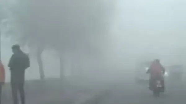 छत्तीसगढ़ में सर्दी का सितम: 48 घंटे बाद और तेज होगी ठंड, कोहरा छाने के आसार