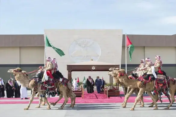 सऊदी अरब के ऊंट महोत्सव में अनोखा इनाम: विजेता को मिला निजी द्वीप!